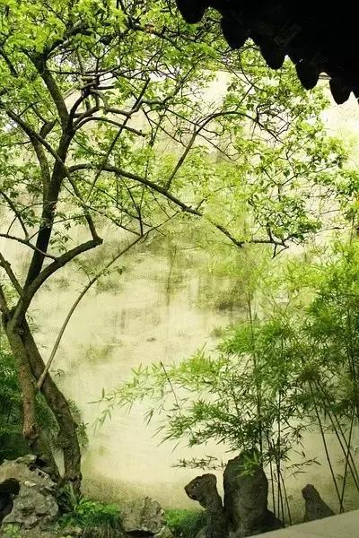 這樣的院子，只有中國(guó)人駕馭得了它！