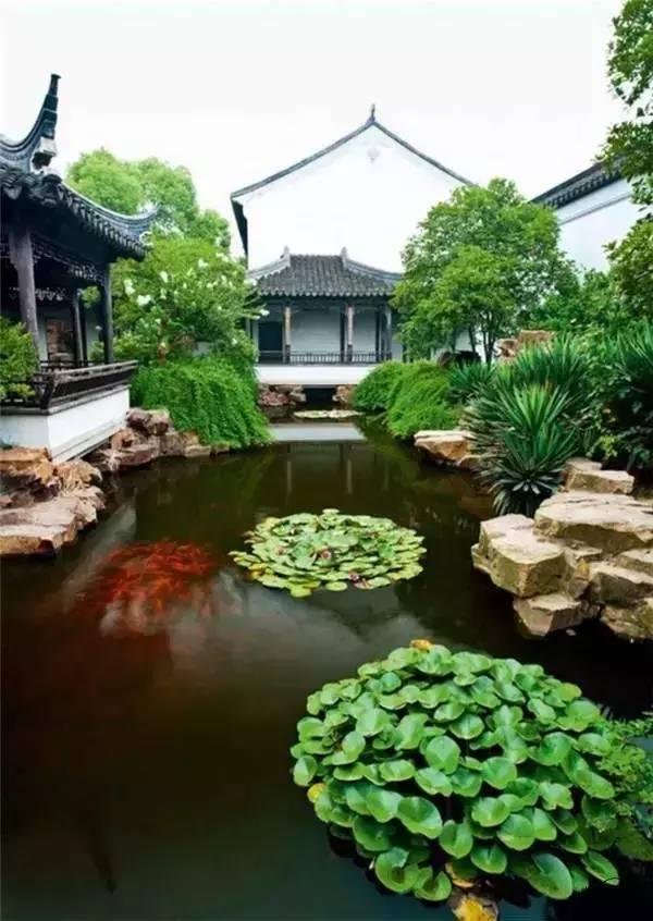 小院回廊，一步一景！